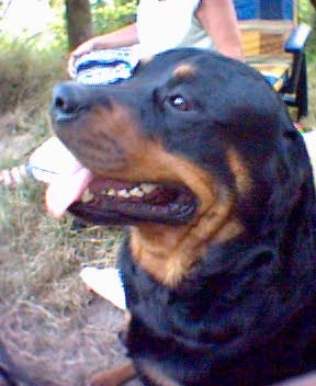 Obrázok