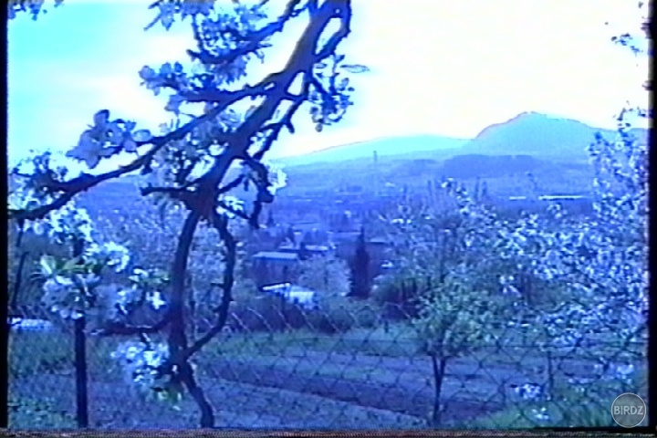 RÁNO