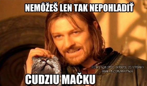 Obrázok