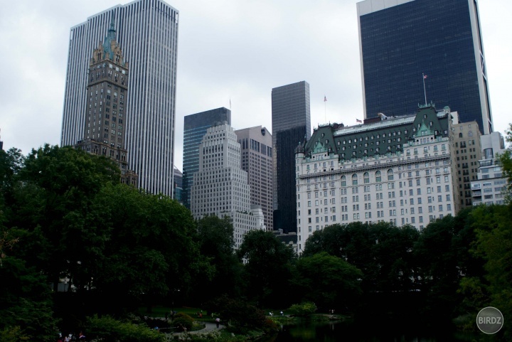 Central Park + hotel Plaza