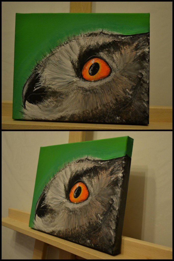 plátno 20x25 NA PREDAJ