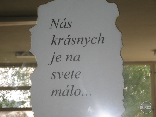 Obrázok