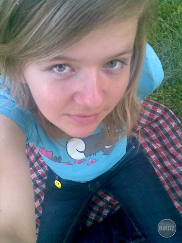 Obrázok