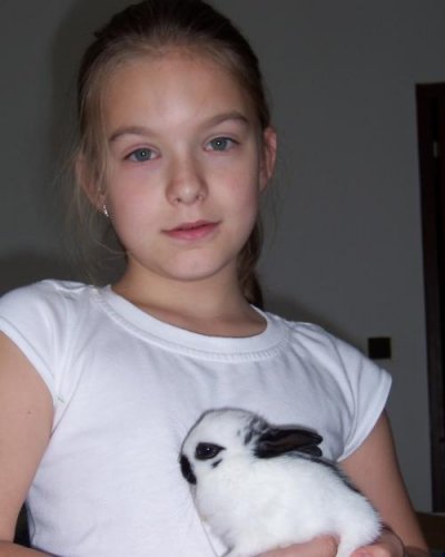 Obrázok