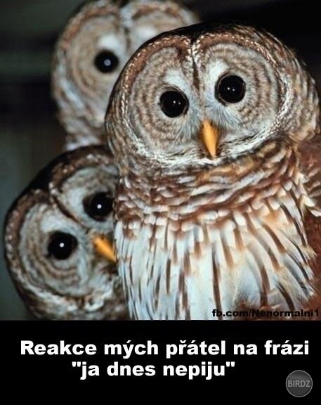 :D pasuje :)