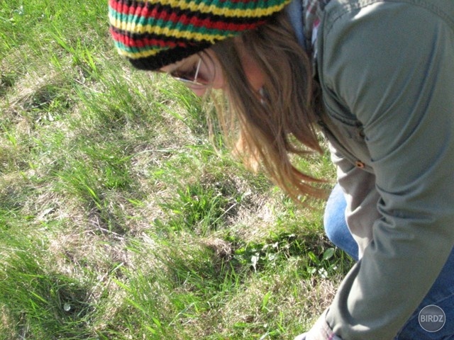 green peace 