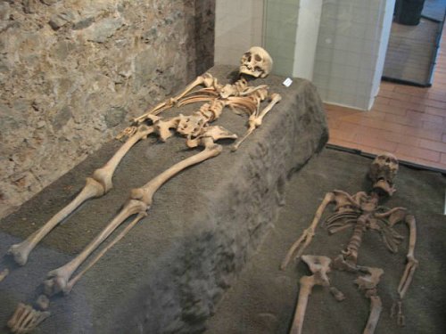 Obrázok