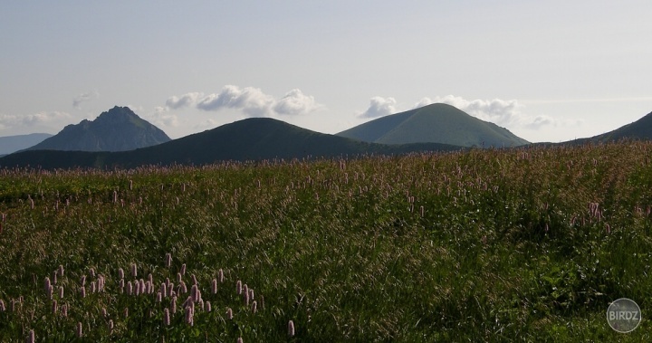 TROJICA
