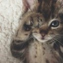 Good morning ^_^