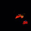 Night trip na chalupu, v hlave zarodky napadov. Mozno aj na blog...