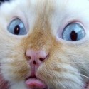 kukukuk :D