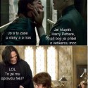 (rofl)