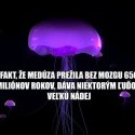 tak dnes
