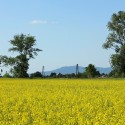 Ukážka z obrázkov v albume Foto I.