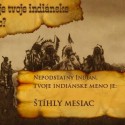 MREM :D :D :D ale pasuje to, fakt som suchý kokot :D