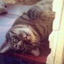 Kuk ^_^ 