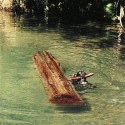 Obrázok
