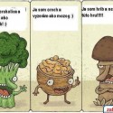 Ukážka z nezaradených obrázkov