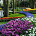 Záhrada Keukenhof, Holandsko