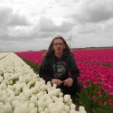 nord holland