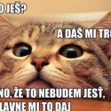Ukážka z nezaradených obrázkov