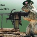 Ukážka z nezaradených obrázkov