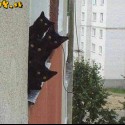 ja a moje kolegynky...no macky proste  ;]]]
