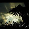 angel