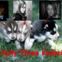 moja milovana Holly Three:D:D