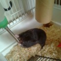 Suominka :-*