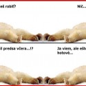 Obrázok