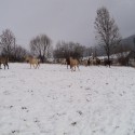 Obrázok