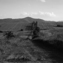 domov