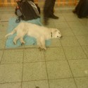 zZzZzZz :D