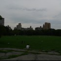 Central park.