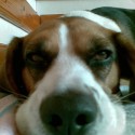 moj malicky Bady :)