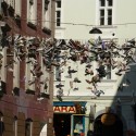 Ljublana