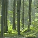Ukážka z obrázkov v albume ŠKRIATOK HUPKO GUPKO