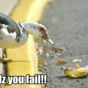 OMFG (rofl)