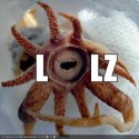 Obrázok