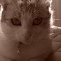 Fanky :)