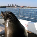 WALVIS BAY - filmár a fotograf Miro Pokorný Vás pozýva na Foto Safari do najfotogenickejšej krajiny sveta - viac info na: http://www.offroadtours.sk/fotosafari.html (Foto: Miloš Bubán Namíbia/2004)