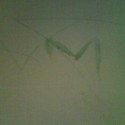 Moje prvé (a zatiaľ aj posledné) grafity. S melónovým sladkým sprejom do úst. Ale pssst! Bolo to v škole :x 
Ach, ale som na seba hrdý :):)