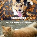 :D:D:D