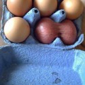vajíčka :D:D