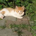 relax:-)