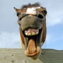 iihaaa :D