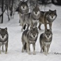 ouuu :O úžas! a ten človek má neskutočné fotky! 
by *PictureByPali (deviantart.com)