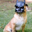 The Dark Knight! xD