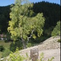 Obrázok
